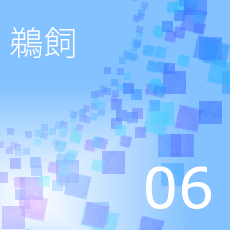 06鵜飼