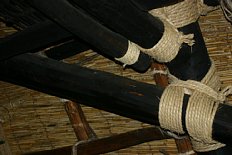 circd0344-0017.JPG