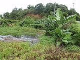 ヌゥンドゥンチ