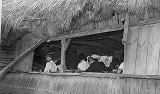 馬小屋教室